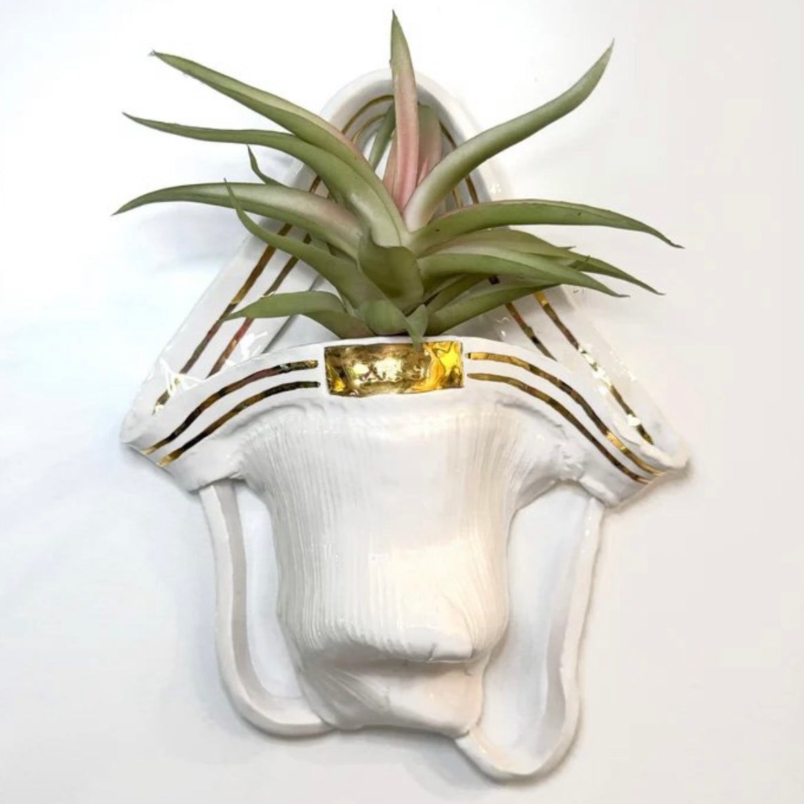 Pansy Ass Ceramics