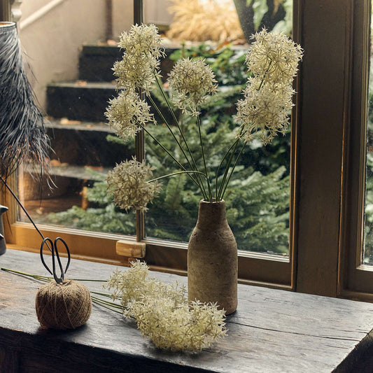 Alium Cream Bunch